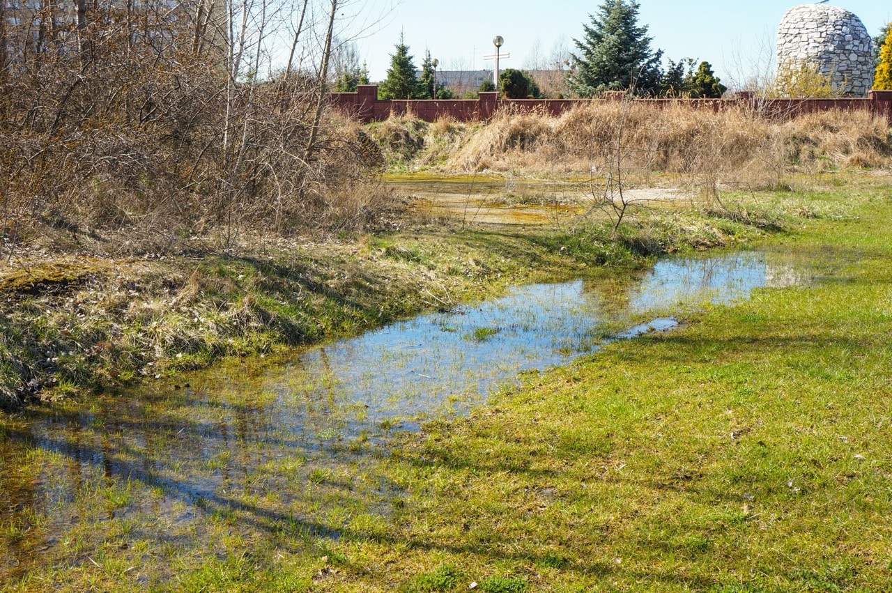Grassy Idaho landscape with puddled water that will not drain